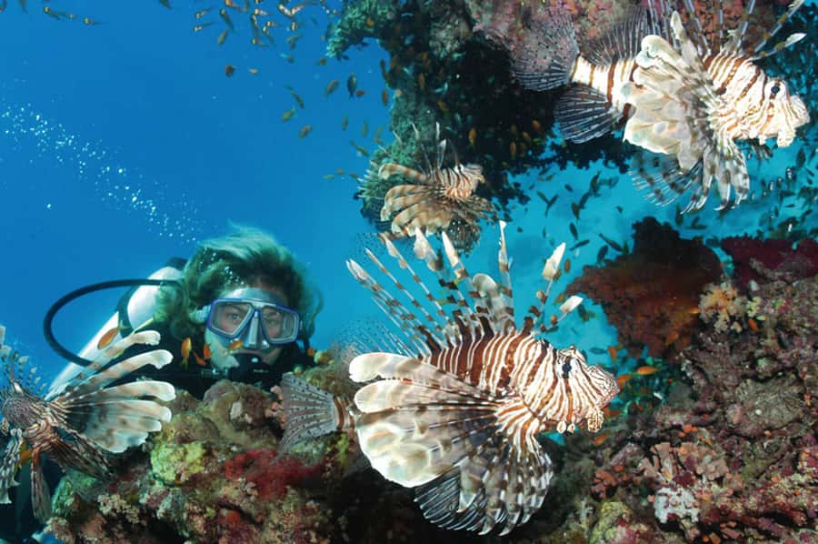 Hurghada, Professionals Diving in Open Water Tour with Lunch - Guide Style, Languages, and How to Avoid Misunderstandings