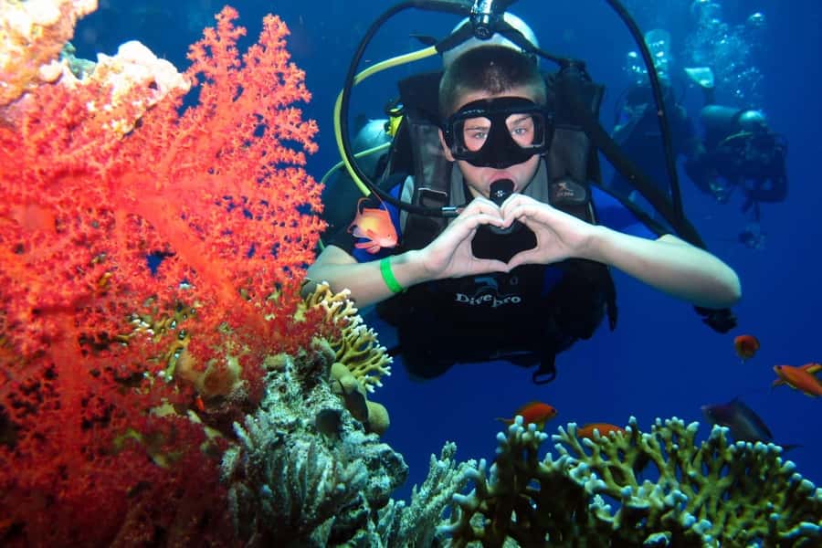 Hurghada: Scuba Diving cruise with lunch & pickup - Key things to know before you go