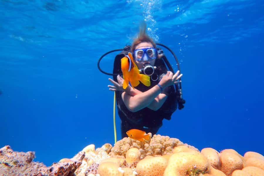 Hurghada: Scuba Diving cruise with lunch & pickup - Reef locations in the Abu Ramada and Giftun area: what you’re paying for