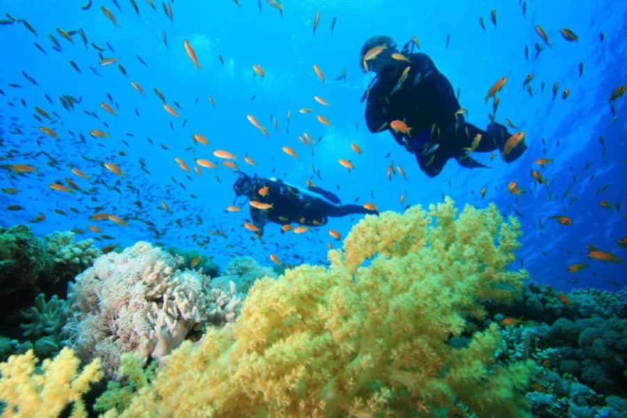 Hurghada: Scuba Diving cruise with lunch & pickup - Lunch on board: simple, filling, and usually the real morale boost