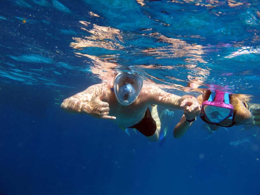 Hurghada: Scuba Diving cruise with lunch & pickup - Price and value: how $40 stacks up