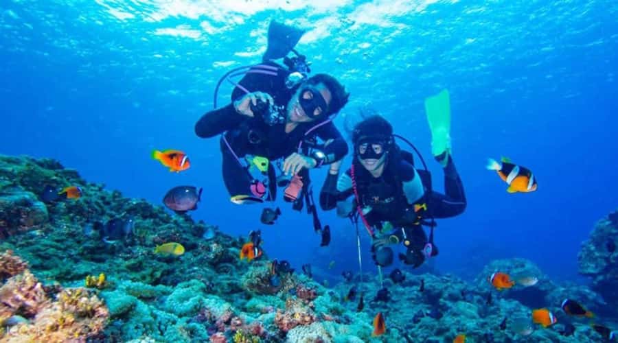 Hurghada: Scuba Diving cruise with lunch & pickup - How the day flows: paperwork, gear fit, and the first reef stop