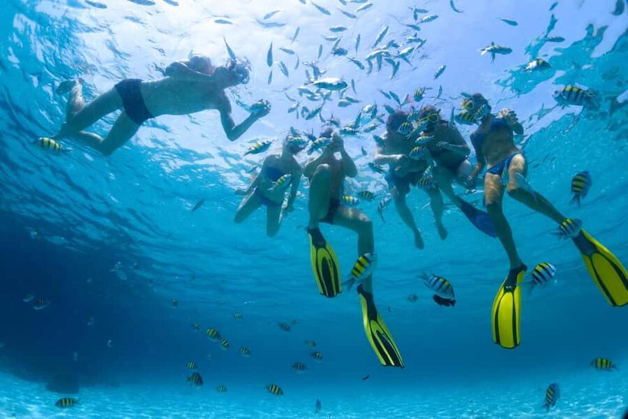 Hurghada: Scuba Diving for Beginners & Certified Divers - Underwater sessions in Hurghada: intro vs longer certified options