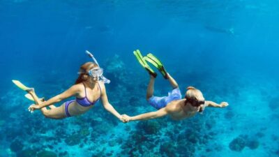 Hurghada: Scuba Diving for Beginners & Certified Divers - Snorkeling pauses: your easy win if you’re not ready for full scuba time