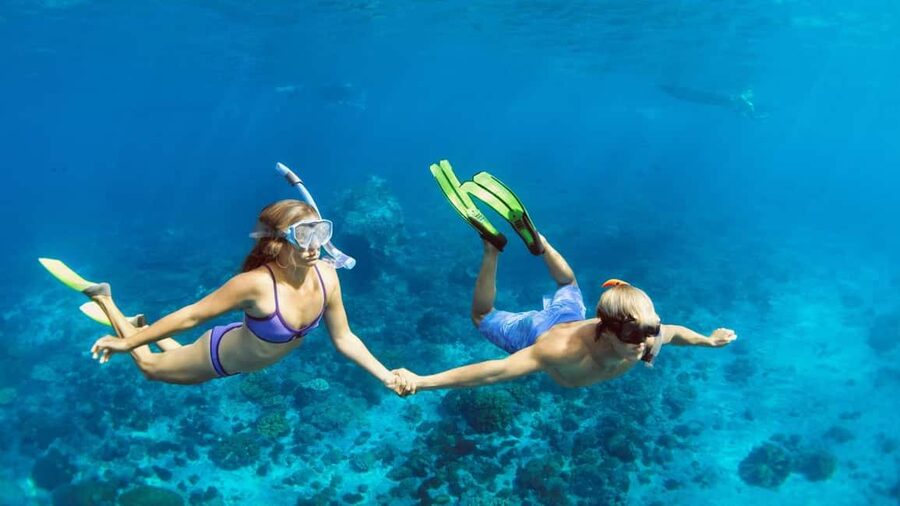 Hurghada: Scuba Diving for Beginners & Certified Divers - Snorkeling pauses: your easy win if you’re not ready for full scuba time