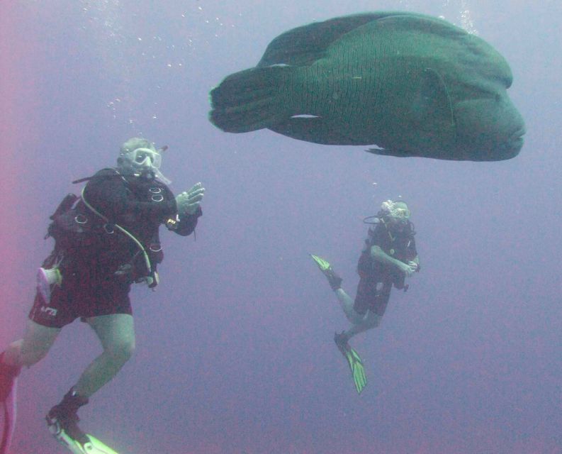Hurghada Scuba Diving Trip with Pick-up, Lunch - Should You Book This Hurghada Scuba Trip?