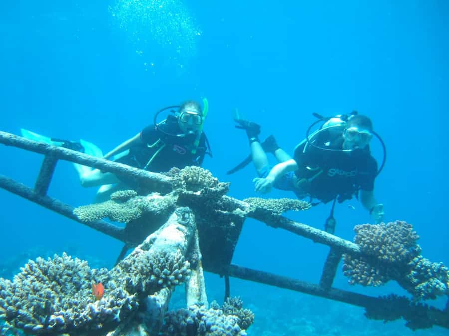 Hurghada Scuba Diving Trip with Pick-up, Lunch - Language, Group Size, and Communication: How to Avoid Awkward Surprises
