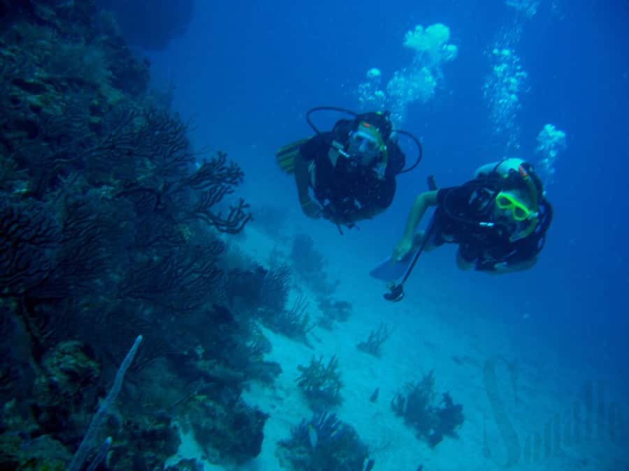Hurghada Scuba Diving Trip with Pick-up, Lunch - Life Jacket to Water Entry: What the First Underwater Session Feels Like
