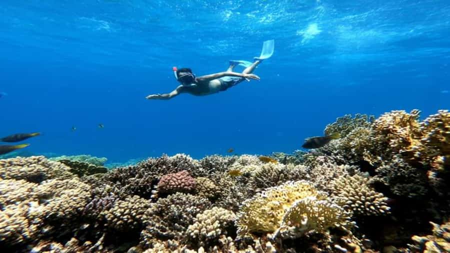Hurghada: Snorkeling 6 x 1 to Orange Bay w Diving & Massage - Getting to the Yacht: Transfers, Pickups, and What to Bring