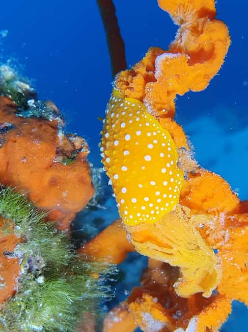 Hvar: Try Dive/Discover Scuba Diving Program - What to bring, and how to show up ready