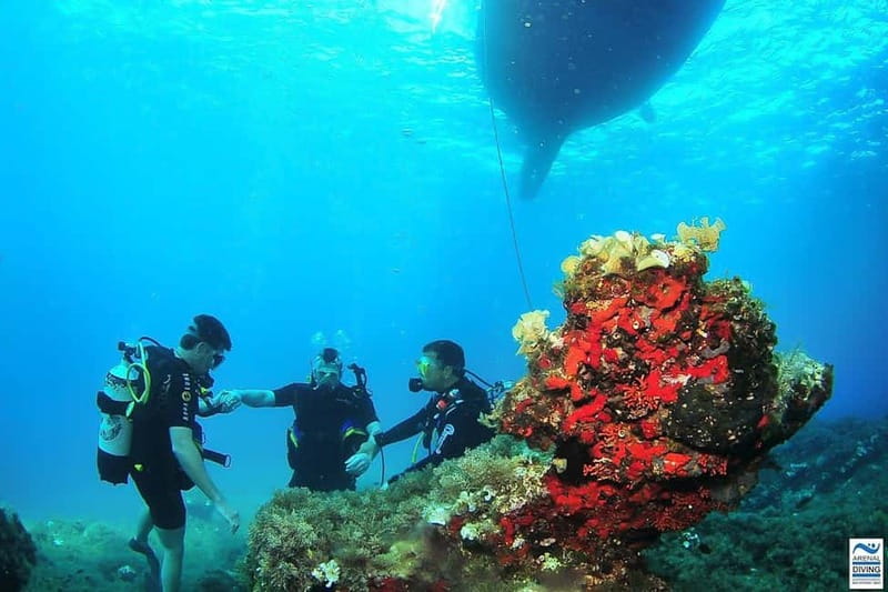 Ibiza: PADI Discover Scuba Diving & Snorkeling Boat Trip - Gear Included, Wetsuit On, Comfort Sorted