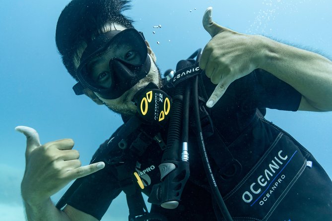 Incredibly Fun Coral Reef Giant Sea Turtles 4hour Boat Scuba Tour - Why This Scuba Boat Experience Feels Legit (and Not Like a Scam)