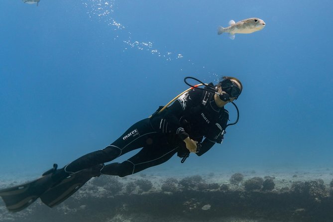 Incredibly Fun Coral Reef Giant Sea Turtles 4hour Boat Scuba Tour - Price and Value: What You’re Paying For at $299