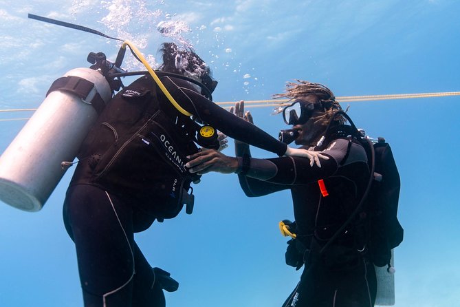 Incredibly Fun Coral Reef Giant Sea Turtles 4hour Boat Scuba Tour - Your Second Tank Session: Giant Sea Turtles and Reef Life (When Conditions Cooperate)