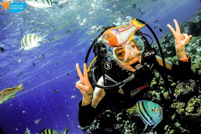 Intro and Professional Scuba Diving Cruise with Lunch in Hurghada - Key Things to Know Before You Go