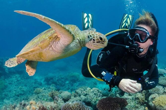 Intro and Professional Scuba Diving Cruise with Lunch in Hurghada - Lunch Onboard: The Buffet Factor (Because Your Body Will Ask for It)