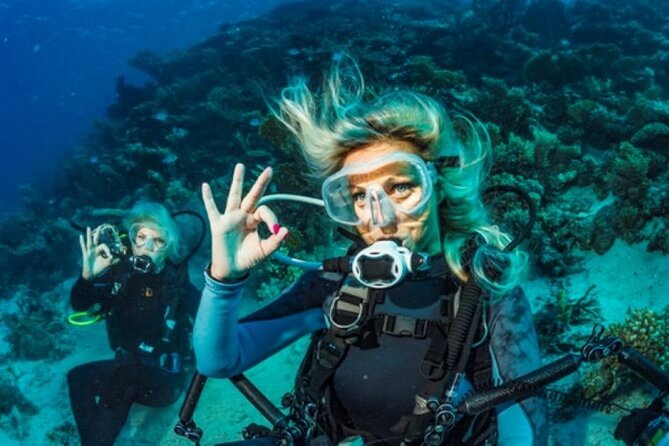 Intro and Professional Scuba Diving Cruise with Lunch in Hurghada - Who This Trip Fits Best (and Who Should Rethink It)