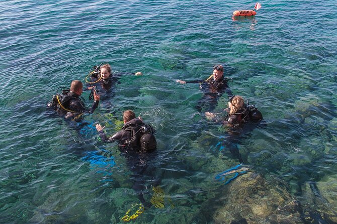 Intro Dive in Dubrovnik - The shore session: what happens once you’re in the water