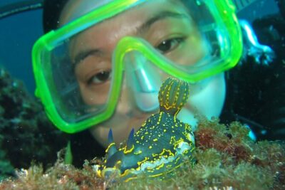 Intro Dive in Dubrovnik - Your pre-water briefing: the skills that keep you comfortable