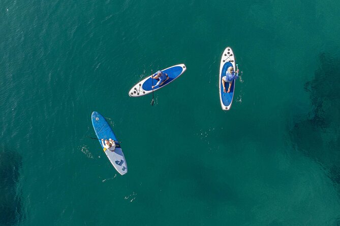 Intro Dive in Dubrovnik - Meeting at Blue Planet: where to go and how to plan your timing