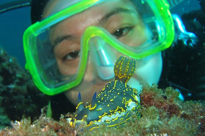Intro Dive in Dubrovnik - Your pre-water briefing: the skills that keep you comfortable
