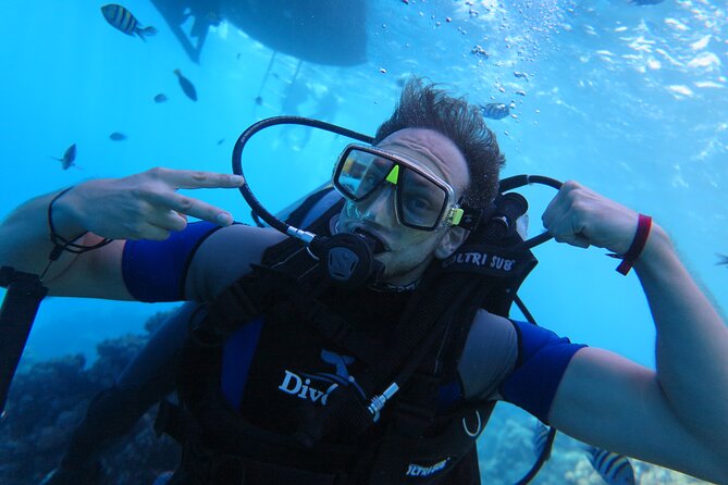 Intro Diving 2 Stops For Beginners with Pick-up and Lunch - Hurghada - Lunch and onboard comfort: keeping your energy up between sessions
