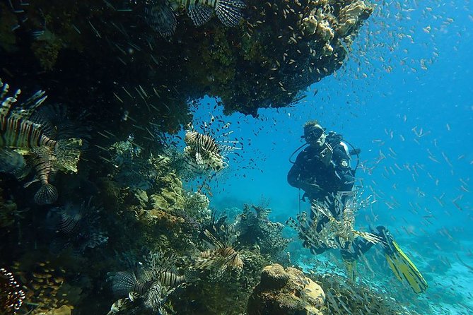 Intro Diving 2 Stops For Beginners with Pick-up and Lunch - Hurghada - Price and value: what $40 really covers, plus the fees to plan for