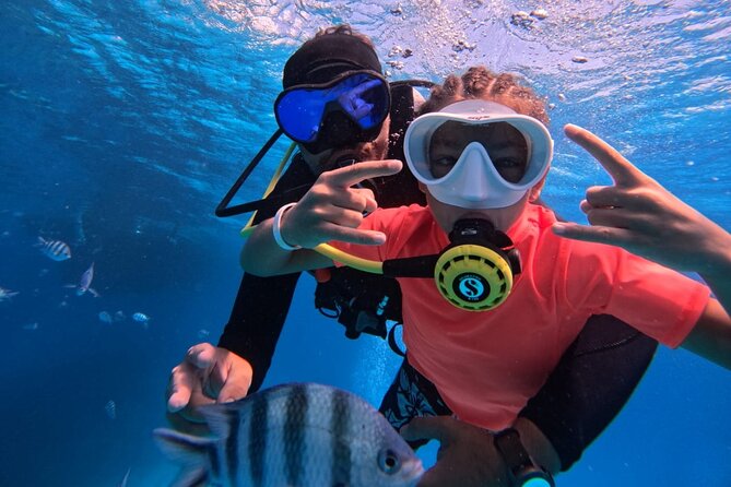 Intro Diving Beginner and Discover Red Sea Underwater - Key things to know before you book