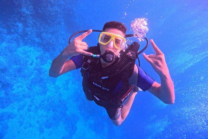 Intro Diving Beginner and Discover Red Sea Underwater - The Second Underwater Session: Carless Reef or Fanadir Pay Off