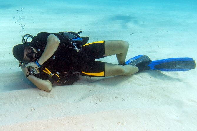 Intro Diving for Beginners 2 Stops Diving with Lunch - Hurghada - Pickup, Pier, and the 8:00 Start: Getting There Without Stress