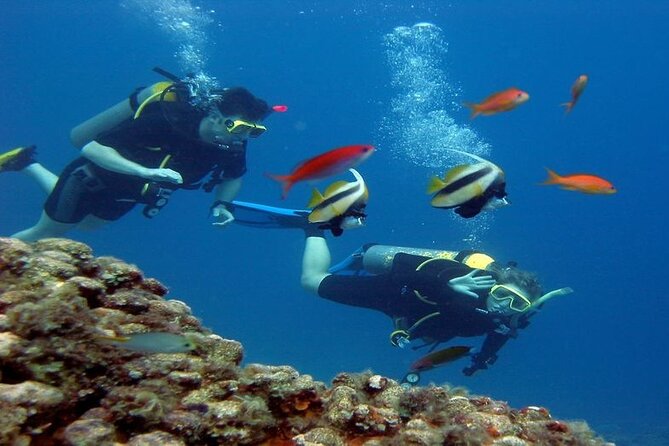 Intro Diving for Beginners 2 Stops Diving with Lunch - Hurghada - Shipwreck Spot: When the Day Turns More Interesting