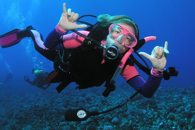 Intro/Refresher Dive Swim Ability Required - The Non-Negotiables: Strong Swimmer and Medical Rules