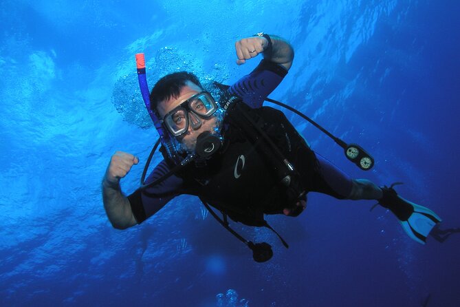 Intro/Refresher Dive Swim Ability Required - Getting There and What to Expect Before You Start