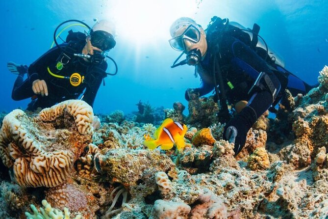 Intro Scuba Diving: 2 Dive Stops With Lunch & transfer - Hurghada - Lunch on the water: a real break with soda/pop and water