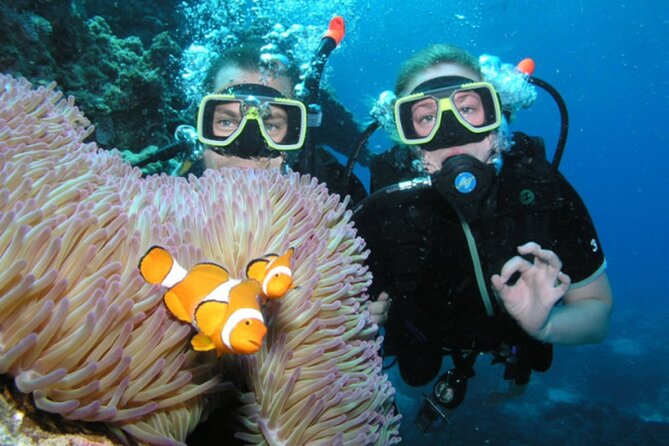 Intro Scuba Diving: 2 Dive Stops With Lunch & transfer - Hurghada - Who should book this intro scuba experience (and who should skip it)