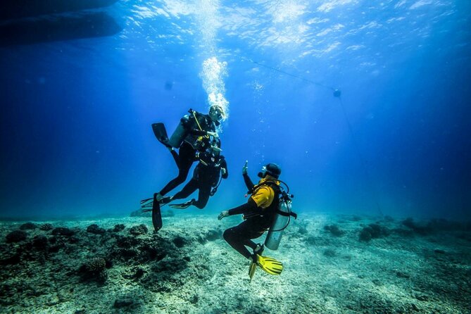 Intro Scuba Diving: 2 Dive Stops With Lunch & transfer - Hurghada - First taste of scuba in Hurghada: what the instructor support really means