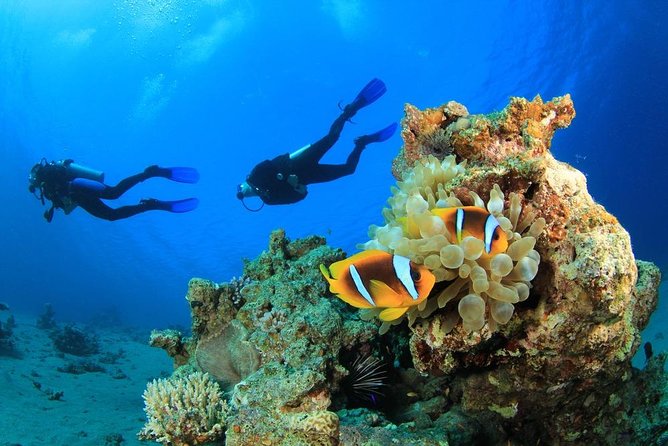 Intro Scuba Diving 2 Stops Trip with Transfers & Lunch - Hurghada - Key Highlights You’ll Feel on Day One