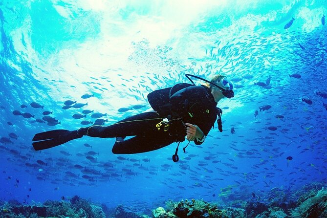 Intro Scuba Diving 2 Stops Trip with Transfers & Lunch - Hurghada - Depth Expectations: A Small Question That Could Save Your Day