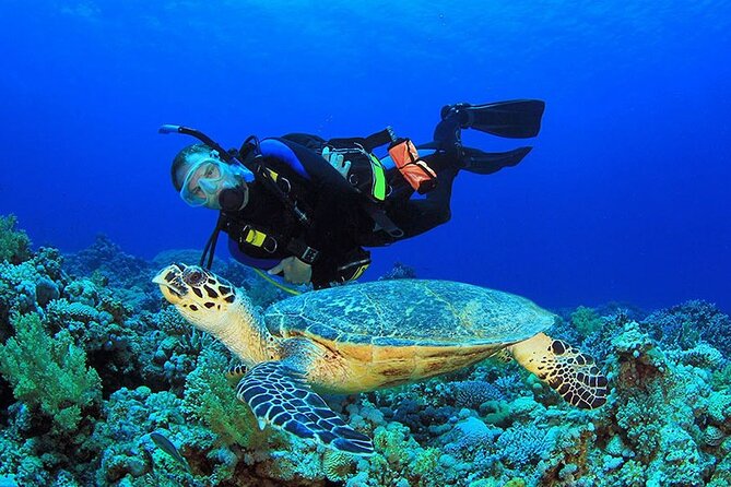 Intro Scuba Diving 2 Stops Trip with Transfers & Lunch - Hurghada - Lunch on the Boat: The Value of Being Fed While You Float