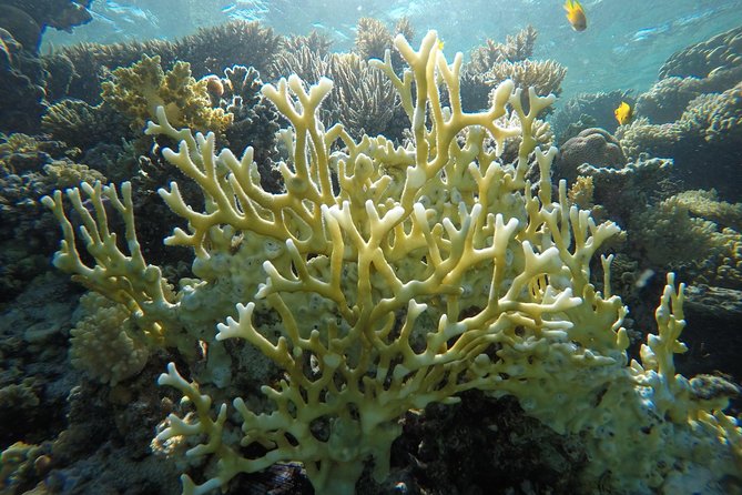 Intro Scuba Diving - On the Boat: Safety Briefing and Gear Coaching That Sets You Up