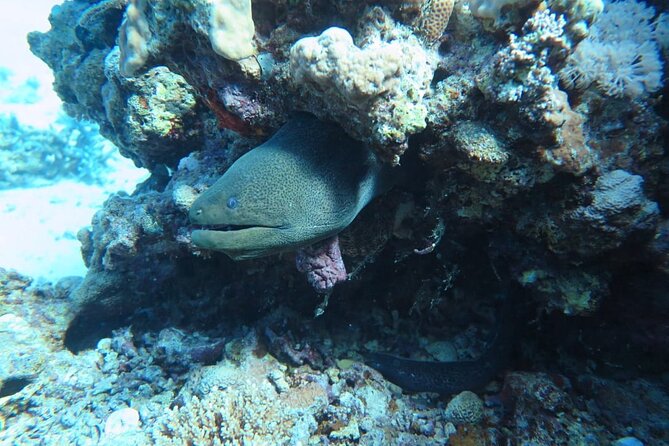 Intro Scuba Diving - First Underwater Session: About 6 Meters for Your Intro Spot