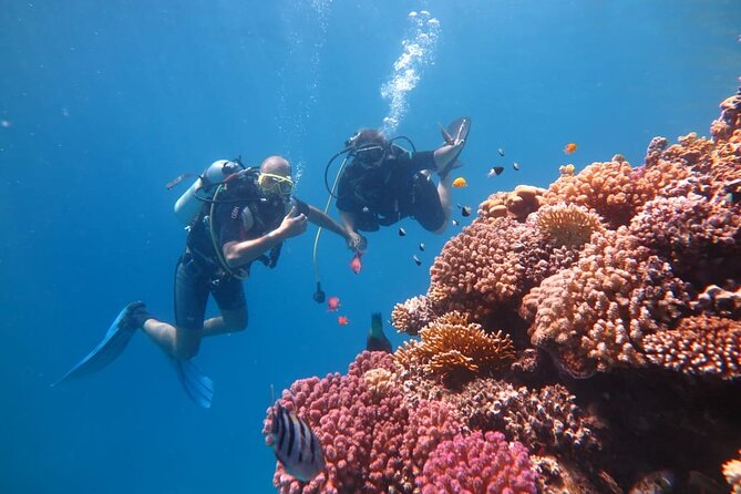 Intro Scuba Diving - Lunch Onboard: Simple, Solid, and Included