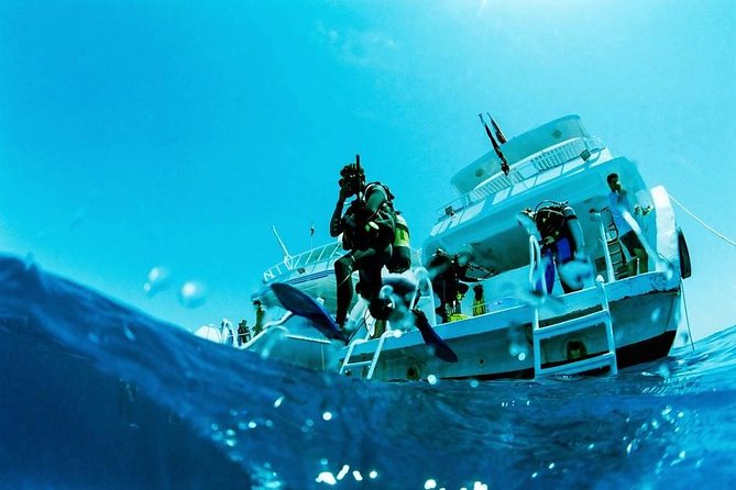 Intro Scuba Diving Beginners Full Day Boat Trip 2 Stops Diving & Lunch– Hurghada - Getting to the docks: pickup that helps, and the transfer chaos you should plan around