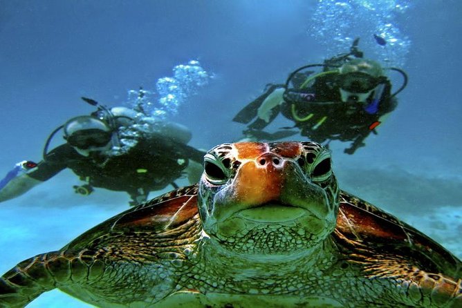 Intro Scuba Diving Beginners Full Day Boat Trip 2 Stops Diving & Lunch– Hurghada - Lunch on a boat: how this small inclusion affects the whole experience