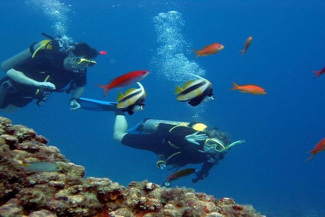 Intro Scuba Diving Beginners Full Day Boat Trip 2 Stops Diving & Lunch– Hurghada - Price and logistics: the value math, plus the extra cash you should expect