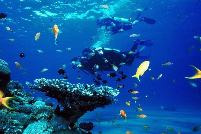 Intro Scuba Diving Beginners Full Day Boat Trip 2 Stops Diving & Lunch– Hurghada - Who this trip suits best (and who should choose a different plan)