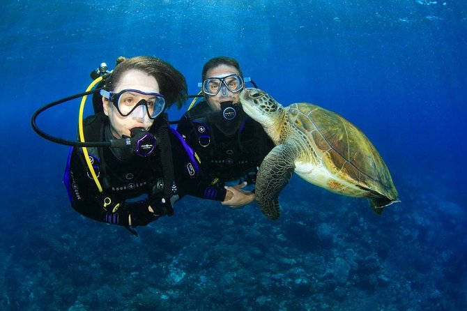 Intro Scuba Diving Experience in Hurghada - Key Things I’d Focus On Before You Go