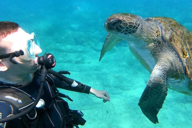 Intro Scuba Diving Experience in Hurghada - Hurghada Boat Day Schedule: 8:00am Start and a Long Day on the Water
