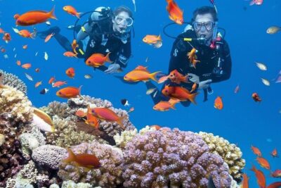Intro Scuba Diving Experience in Hurghada - Cost Breakdown: Transfer Zones and the National Park Admission Fee