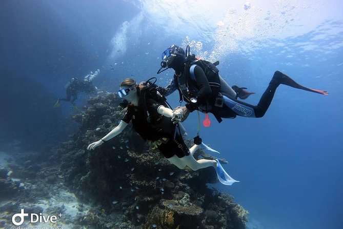 Intro Scuba Diving Experience in Hurghada - Boat Comfort and Equipment Hygiene: Why Clean Gear Matters